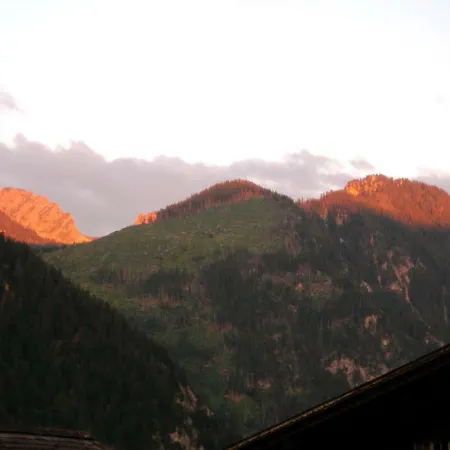 Appartement Gerberhaus Zweisimmen